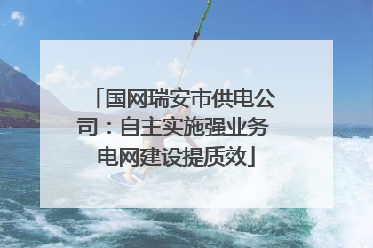 国网瑞安市供电公司：自主实施强业务 电网建设提质效