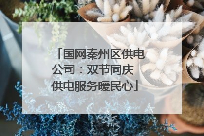 国网秦州区供电公司：双节同庆 供电服务暖民心