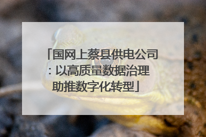 国网上蔡县供电公司：以高质量数据治理 助推数字化转型