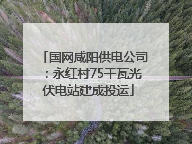 国网咸阳供电公司：永红村75千瓦光伏电站建成投运