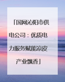 国网沁阳市供电公司：优质电力服务赋能凉皮产业飘香