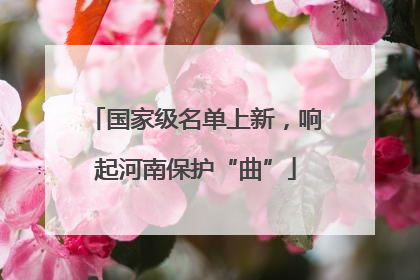 国家级名单上新，响起河南保护“曲”