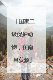 国家二级保护动物，在南昌获救