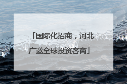 国际化招商，河北广邀全球投资客商