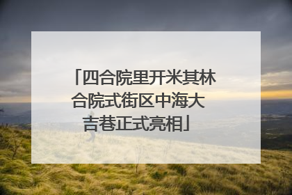 四合院里开米其林 合院式街区中海大吉巷正式亮相