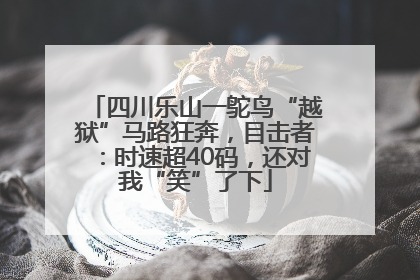四川乐山一鸵鸟“越狱”马路狂奔，目击者：时速超40码，还对我“笑”了下