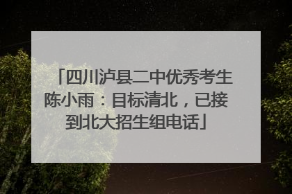 四川泸县二中优秀考生陈小雨：目标清北，已接到北大招生组电话