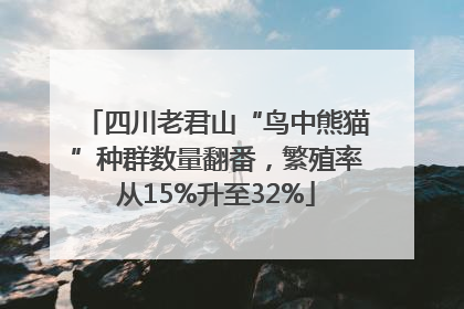 四川老君山“鸟中熊猫”种群数量翻番，繁殖率从15%升至32%