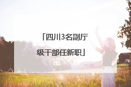 四川3名副厅级干部任新职