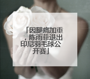 因腿痛加重，陈雨菲退出印尼羽毛球公开赛