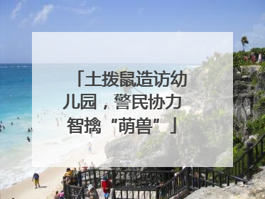 土拨鼠造访幼儿园，警民协力智擒“萌兽”