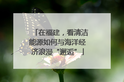 在福建，看清洁能源如何与海洋经济浪漫“邂逅”