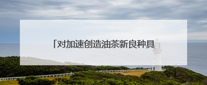 对加速创造油茶新良种具有重要意义 湖南构建四倍体油茶高精度基因图谱