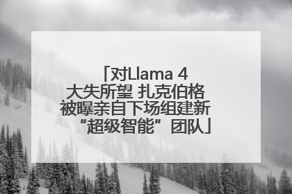 对Llama 4大失所望 扎克伯格被曝亲自下场组建新“超级智能”团队