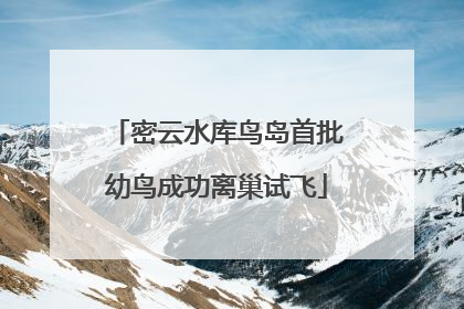 密云水库鸟岛首批幼鸟成功离巢试飞
