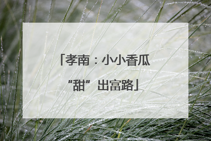 孝南：小小香瓜 “甜”出富路