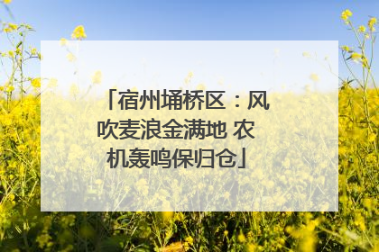 宿州埇桥区：风吹麦浪金满地 农机轰鸣保归仓
