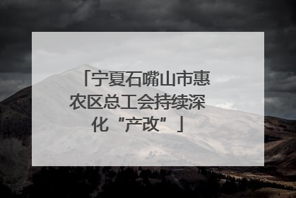 宁夏石嘴山市惠农区总工会持续深化“产改”