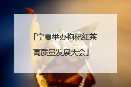 宁夏举办枸杞红茶高质量发展大会