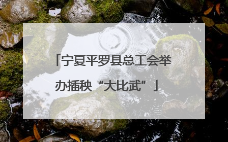 宁夏平罗县总工会举办插秧“大比武”