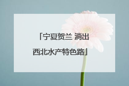 宁夏贺兰 淌出西北水产特色路