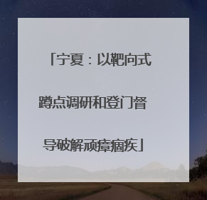 宁夏：以靶向式蹲点调研和登门督导破解顽瘴痼疾