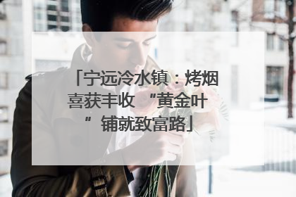 宁远冷水镇：烤烟喜获丰收 “黄金叶”铺就致富路