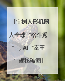宇树人形机器人全球“格斗秀”，AI“拳王”硬核破圈