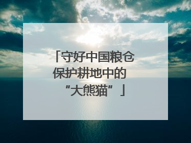 守好中国粮仓 保护耕地中的“大熊猫”