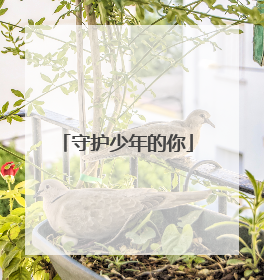 守护少年的你