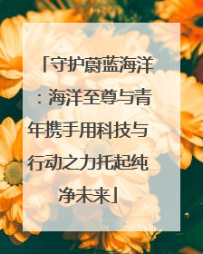 守护蔚蓝海洋：海洋至尊与青年携手用科技与行动之力托起纯净未来
