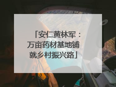 安仁黄林军：万亩药材基地铺就乡村振兴路