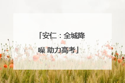 安仁：全城降噪 助力高考