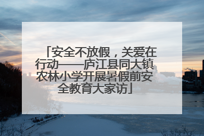 安全不放假，关爱在行动——庐江县同大镇农林小学开展暑假前安全教育大家访