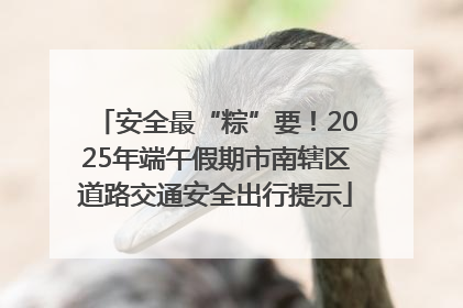 安全最“粽”要！2025年端午假期市南辖区道路交通安全出行提示