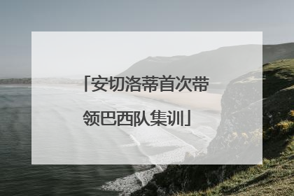 安切洛蒂首次带领巴西队集训