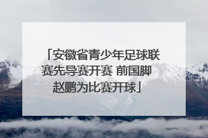 安徽省青少年足球联赛先导赛开赛 前国脚赵鹏为比赛开球
