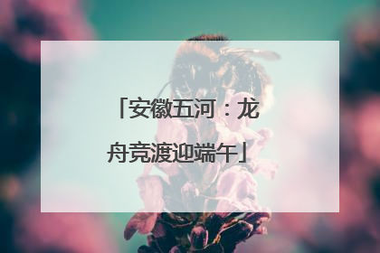 安徽五河：龙舟竞渡迎端午