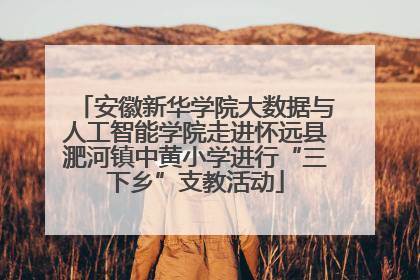 安徽新华学院大数据与人工智能学院走进怀远县淝河镇中黄小学进行“三下乡”支教活动
