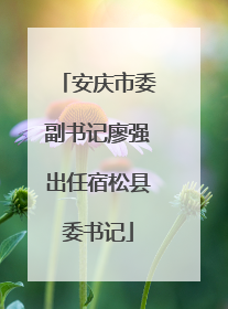 安庆市委副书记廖强出任宿松县委书记