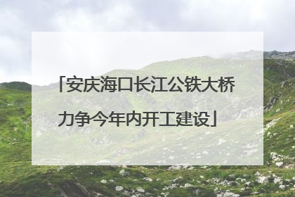 安庆海口长江公铁大桥力争今年内开工建设