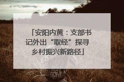 安阳内黄：支部书记外出“取经”探寻乡村振兴新路径