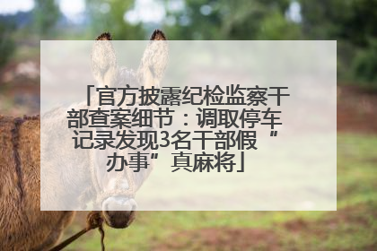 官方披露纪检监察干部查案细节：调取停车记录发现3名干部假“办事”真麻将