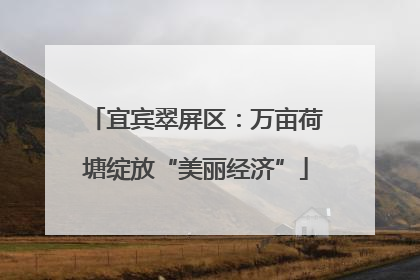 宜宾翠屏区：万亩荷塘绽放“美丽经济”