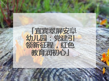 宜宾翠屏安阜幼儿园：党建引领新征程，红色教育润初心