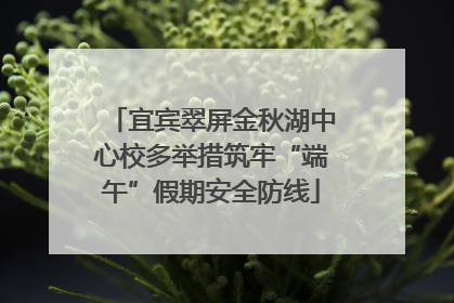 宜宾翠屏金秋湖中心校多举措筑牢“端午”假期安全防线