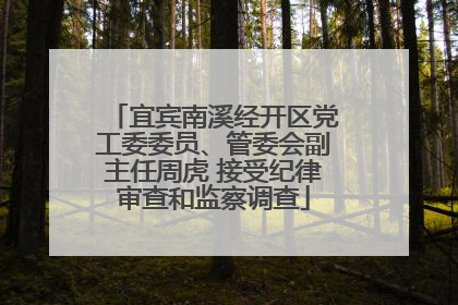 宜宾南溪经开区党工委委员、管委会副主任周虎 接受纪律审查和监察调查