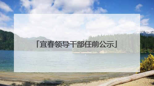 宜春领导干部任前公示