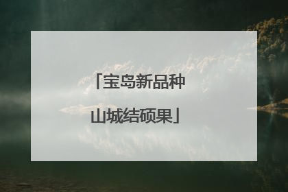宝岛新品种 山城结硕果