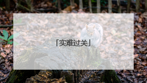 实难过关